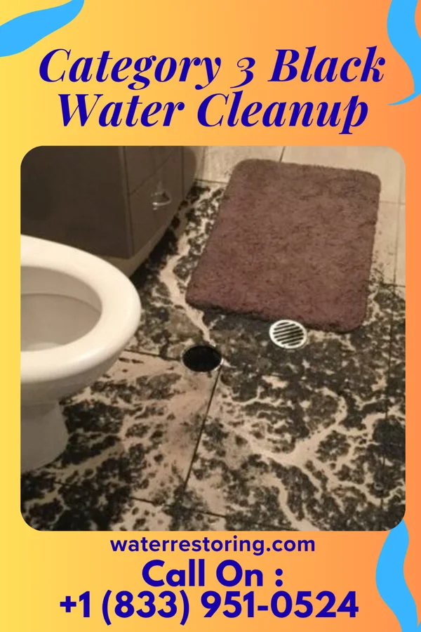 Category 3 Black Water Cleanup in Dean, TX